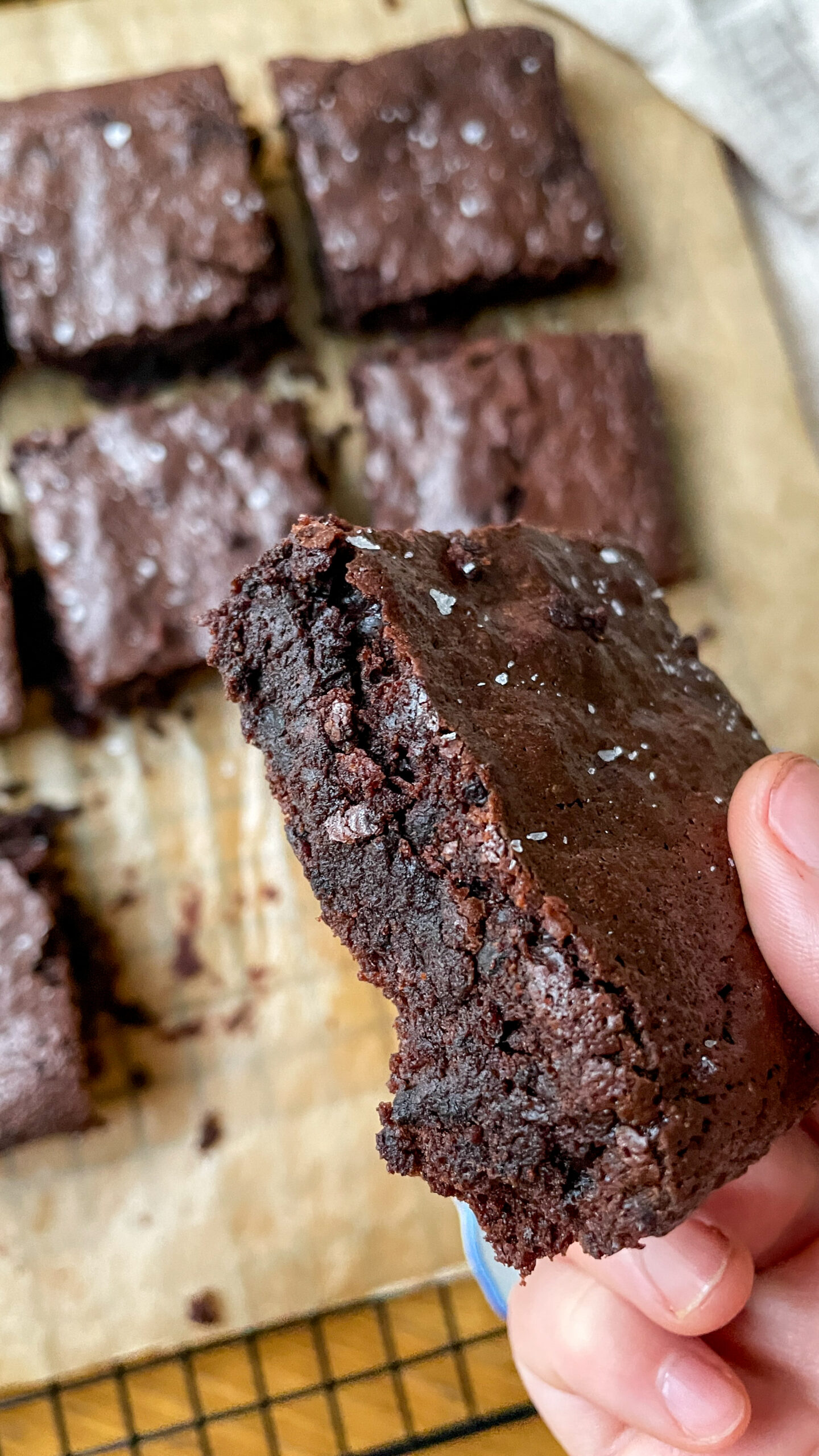 sourdough brownies