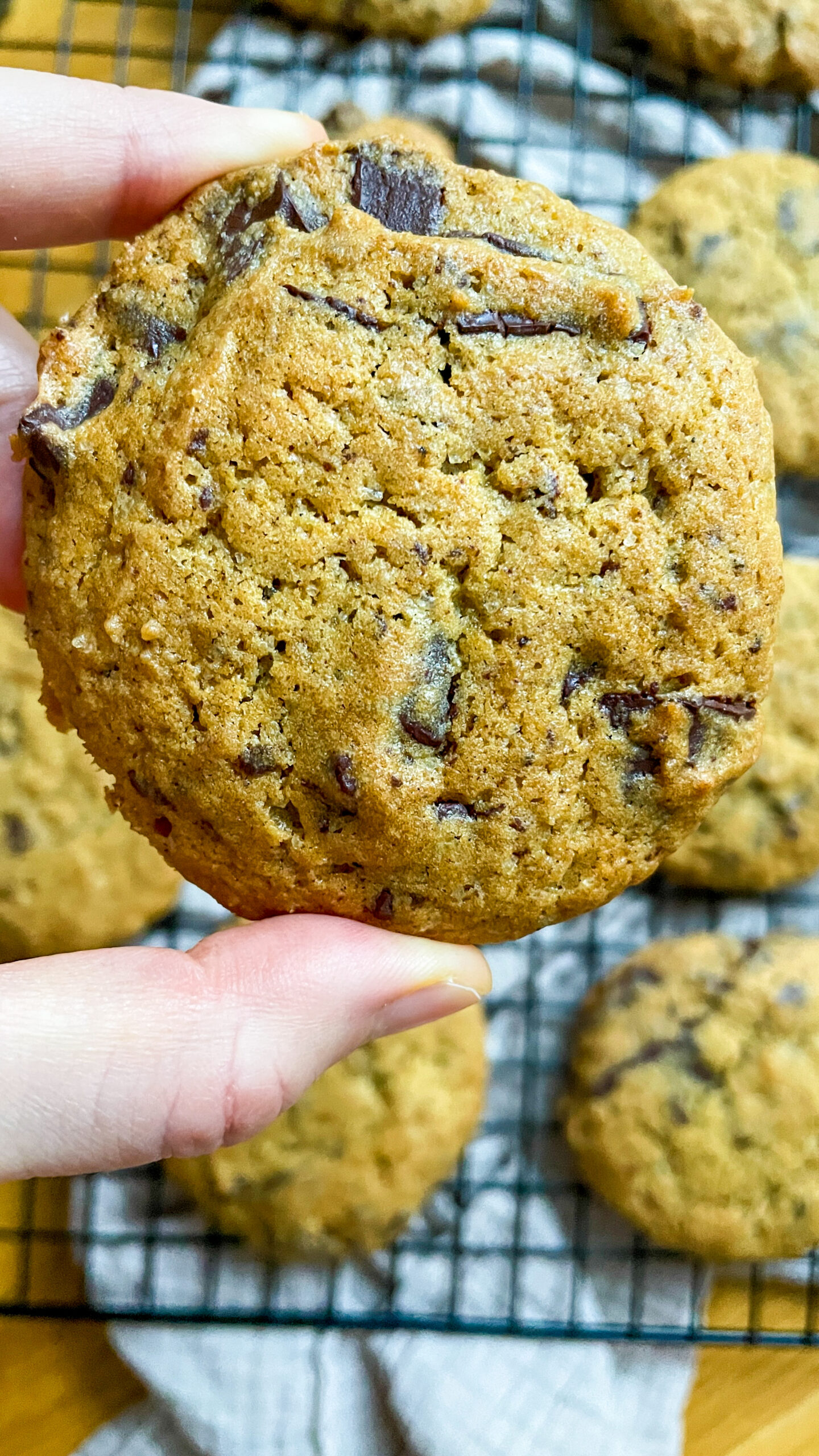 Sourdough Cookies