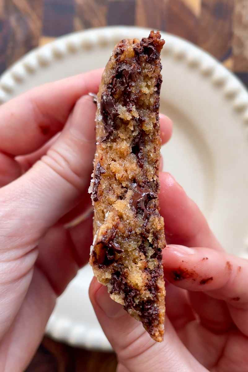 Sourdough chocolate chip cookies with gooey texture