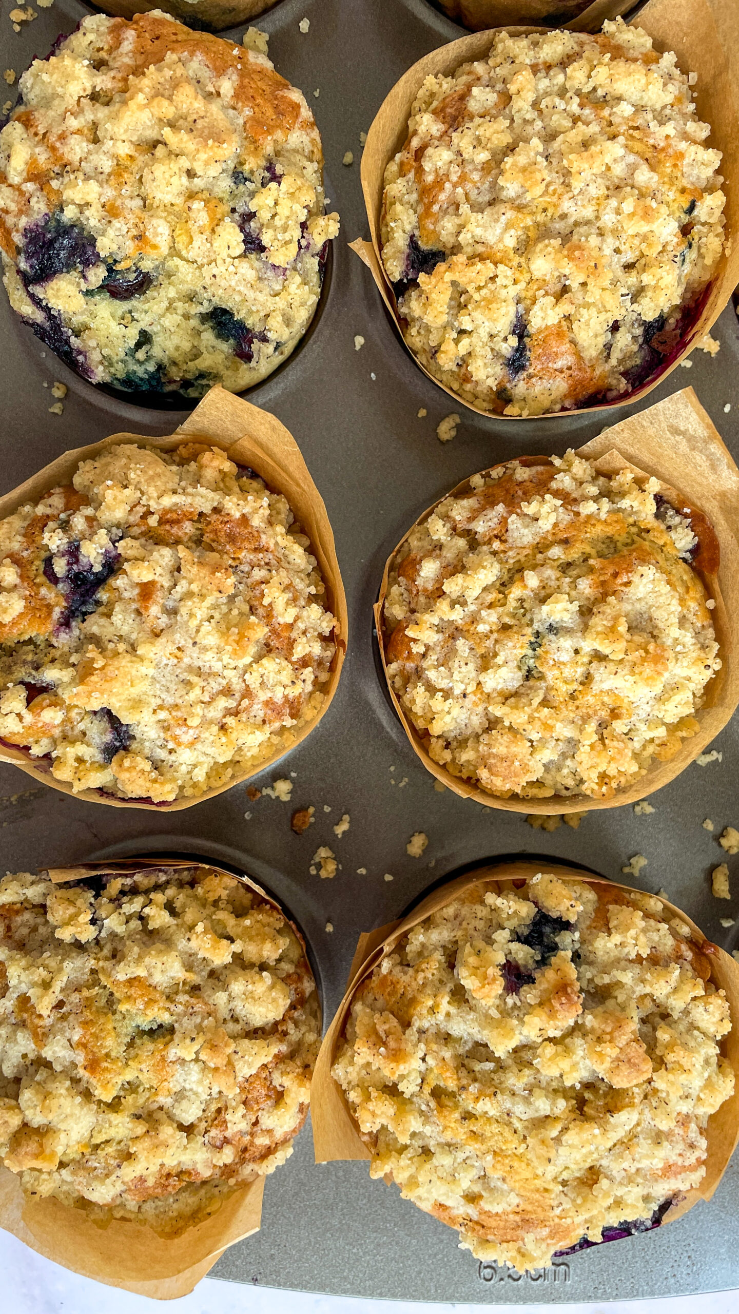 sourdough blueberry muffins