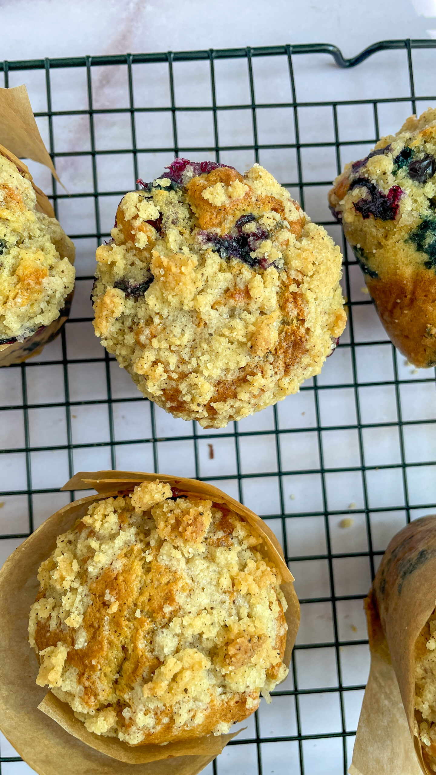 sourdough blueberry muffins