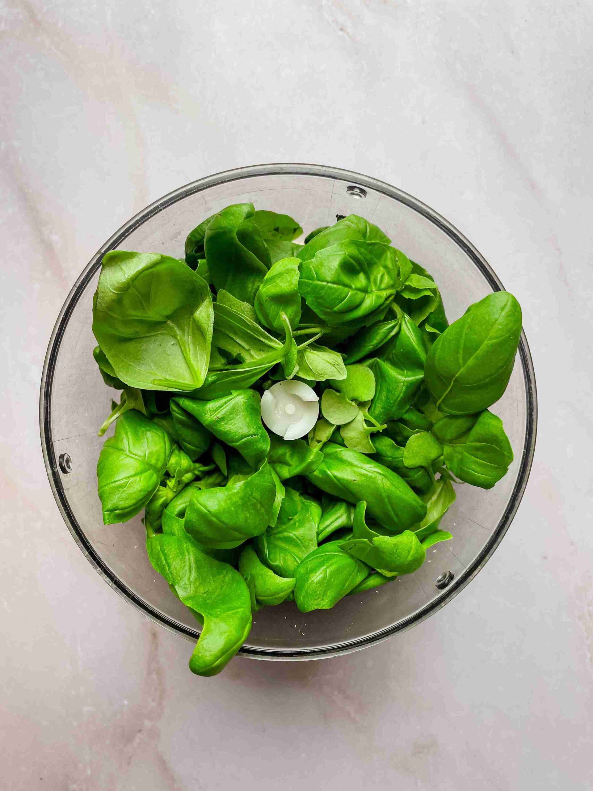 fresh basil added to food processor for homemade pesto without pine nuts
